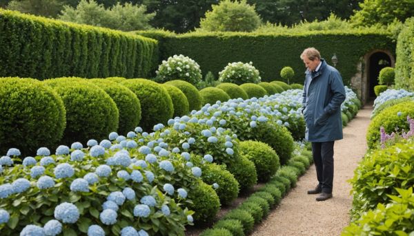 Quels arbustes planter en Bretagne ?